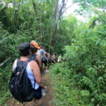 Rapel – O Que É, Modalidades, Cuidados e Destinos Para se Aventurar!