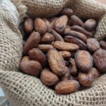 No próximo sábado, Rock in Roça festeja 10 anos com volta às raízes